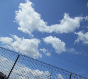 弊社から見えた綺麗な青空