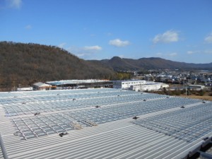 DSCN1634